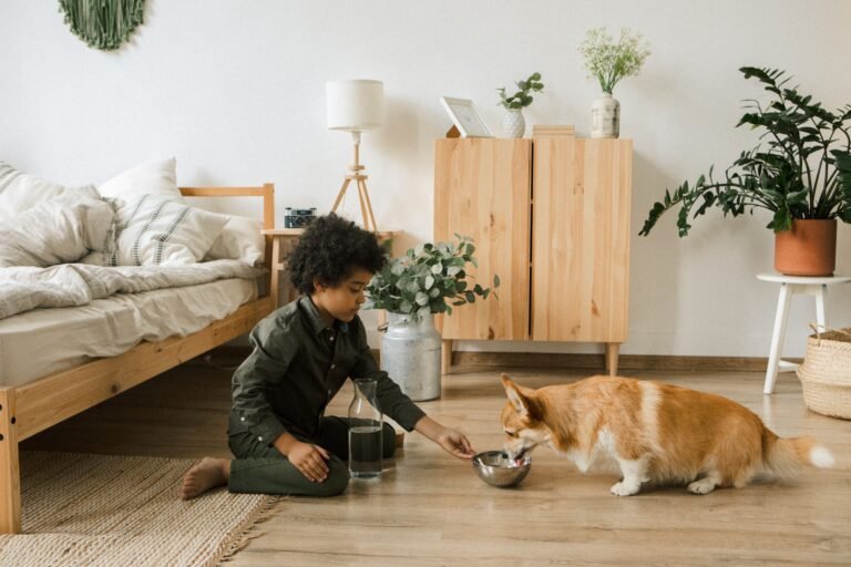 Understanding Pet Allergies
