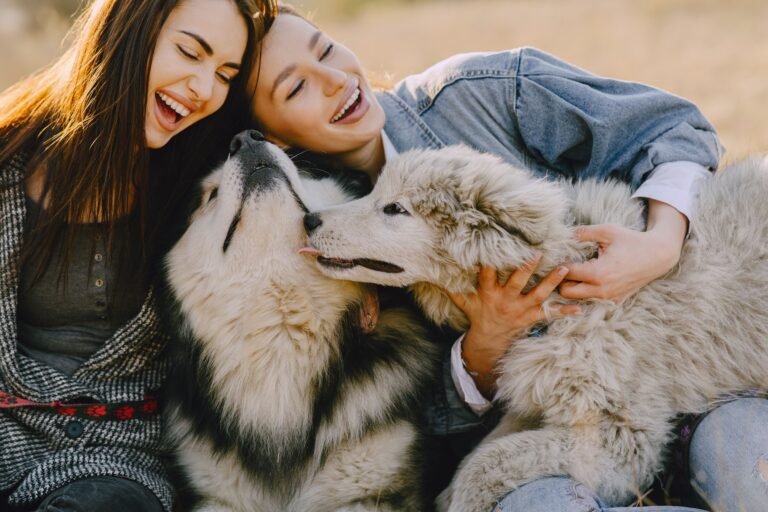 How to Choose Pet Insurance Plan