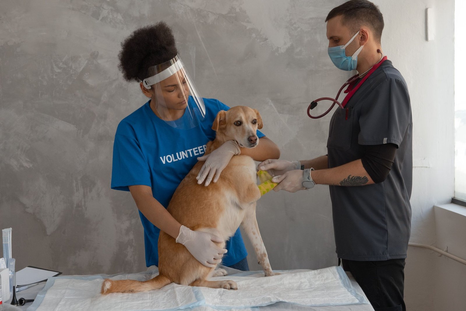 Emergency Pet Fund
