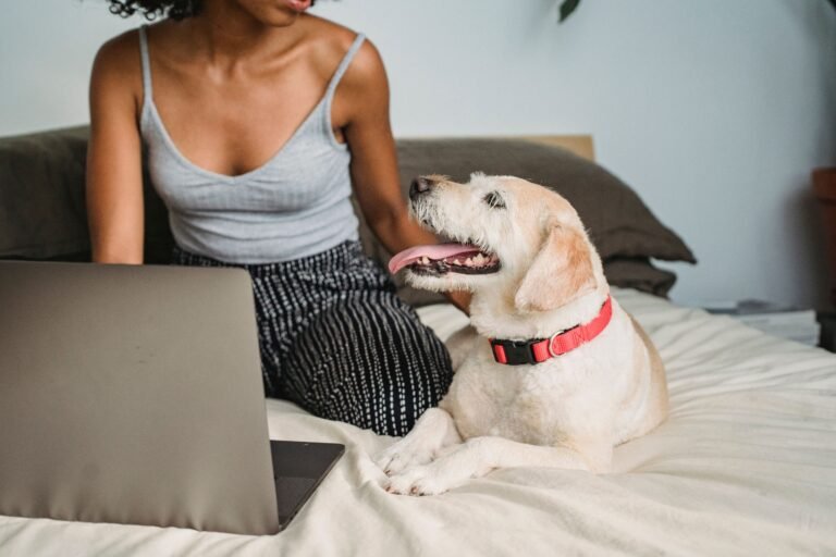 Top 10 signs pet needs emergency vet