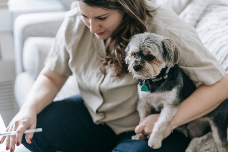 How to Create pet health budget save on vet bills