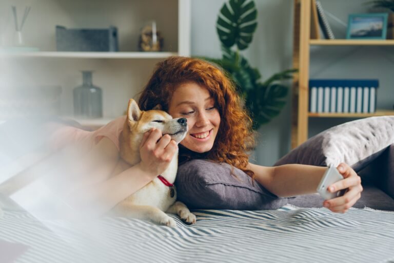 how to keep senior pet healthy