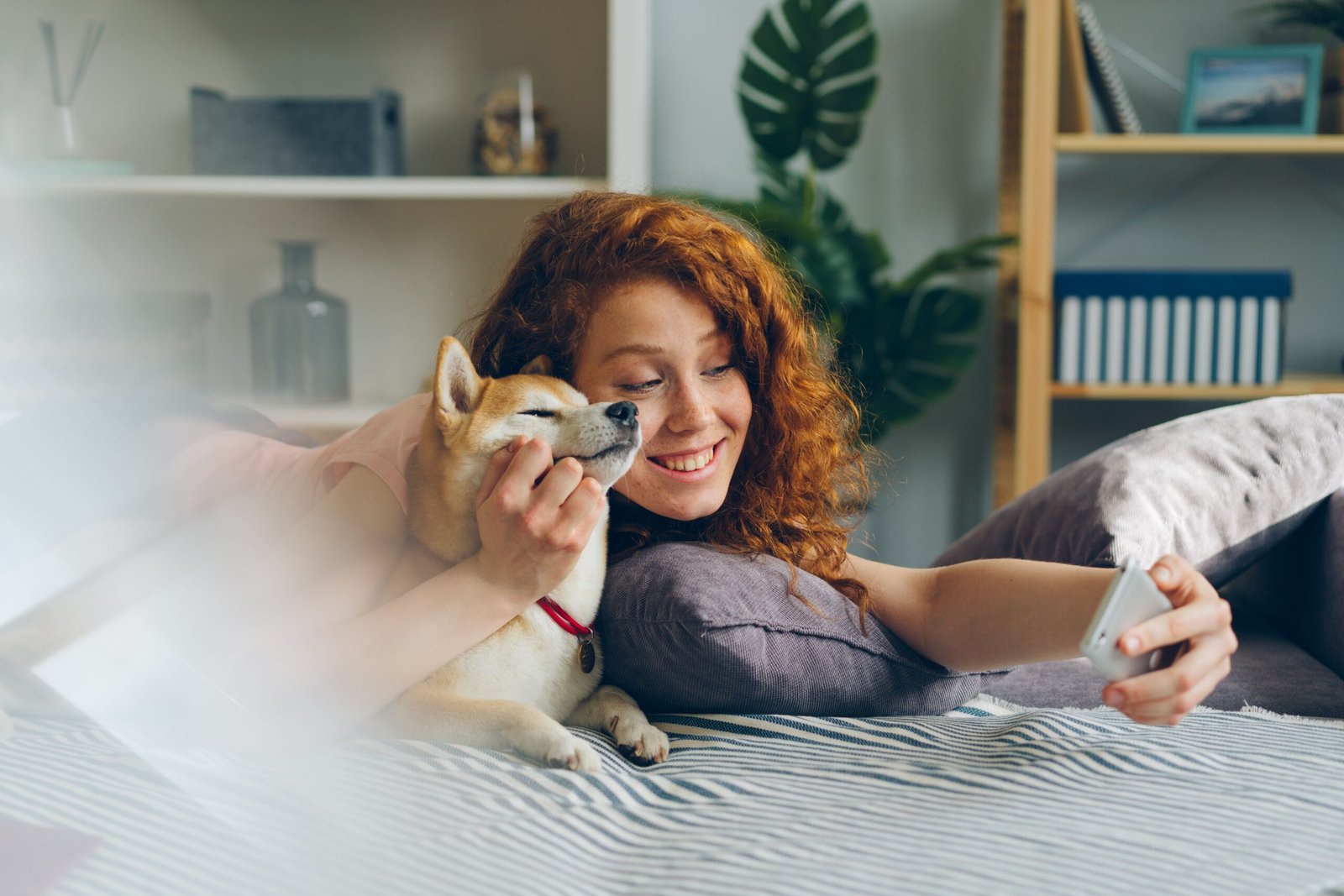 how to keep senior pet healthy