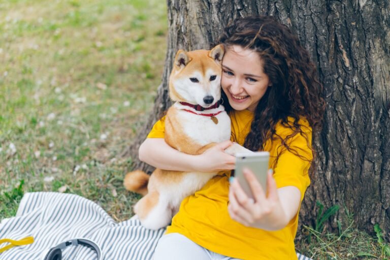 pet anxiety treatment