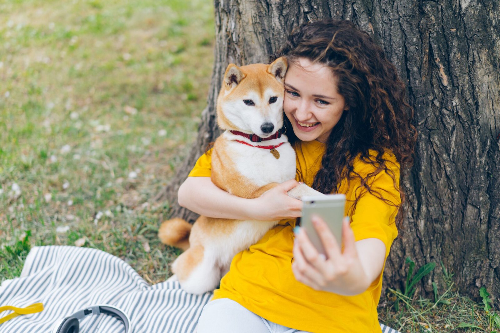 pet anxiety treatment