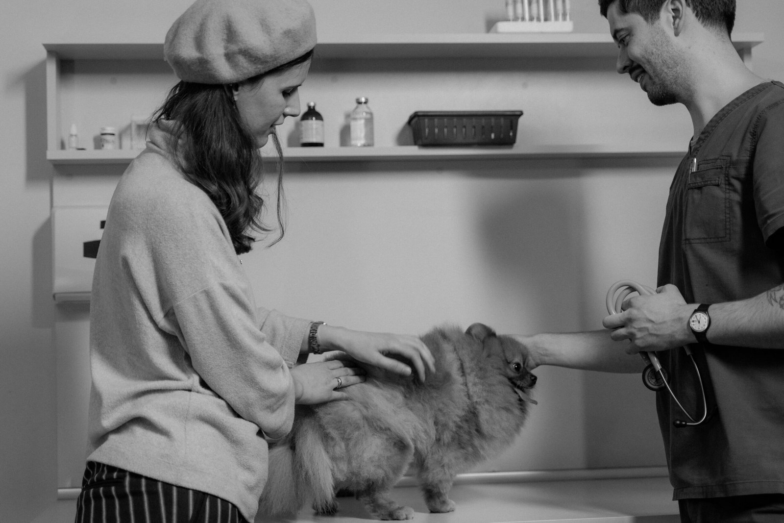 Best Pet Food 2026